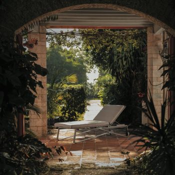 Lounge chairs on a patio with lots of plants.