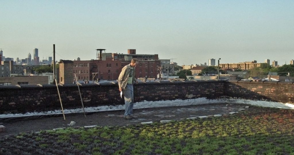 A person stands on a rooftop garden with patches of greenery. Urban buildings and a distant skyline are visible in the background under a clear sky.