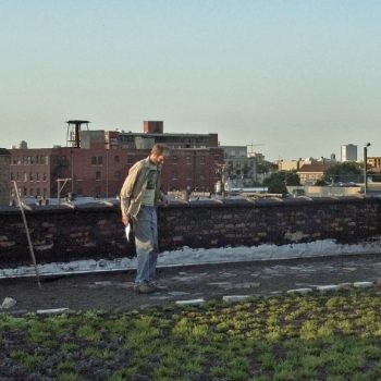 A person stands on a rooftop garden with patches of greenery. Urban buildings and a distant skyline are visible in the background under a clear sky.